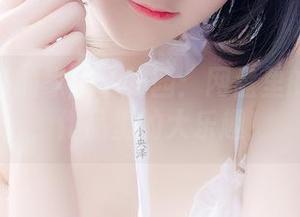 一小央泽的家庭动物园：网盘里的小动物，作品里的大乐趣！