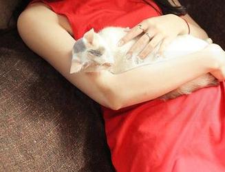 推女神 – 看看谭晓彤的御姐写真，墙上的壁纸可以和你对话了吧！