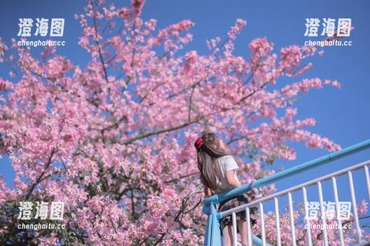 萌芽儿o0 萌芽儿o0的黑色新作,听说下载后能获得特别黑色幽默!